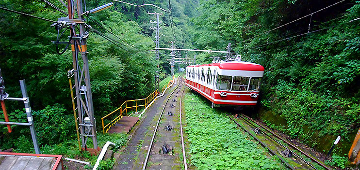 山門から庭園